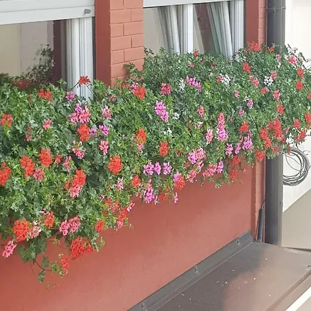 Al Fari - Affittacamere. Guest house